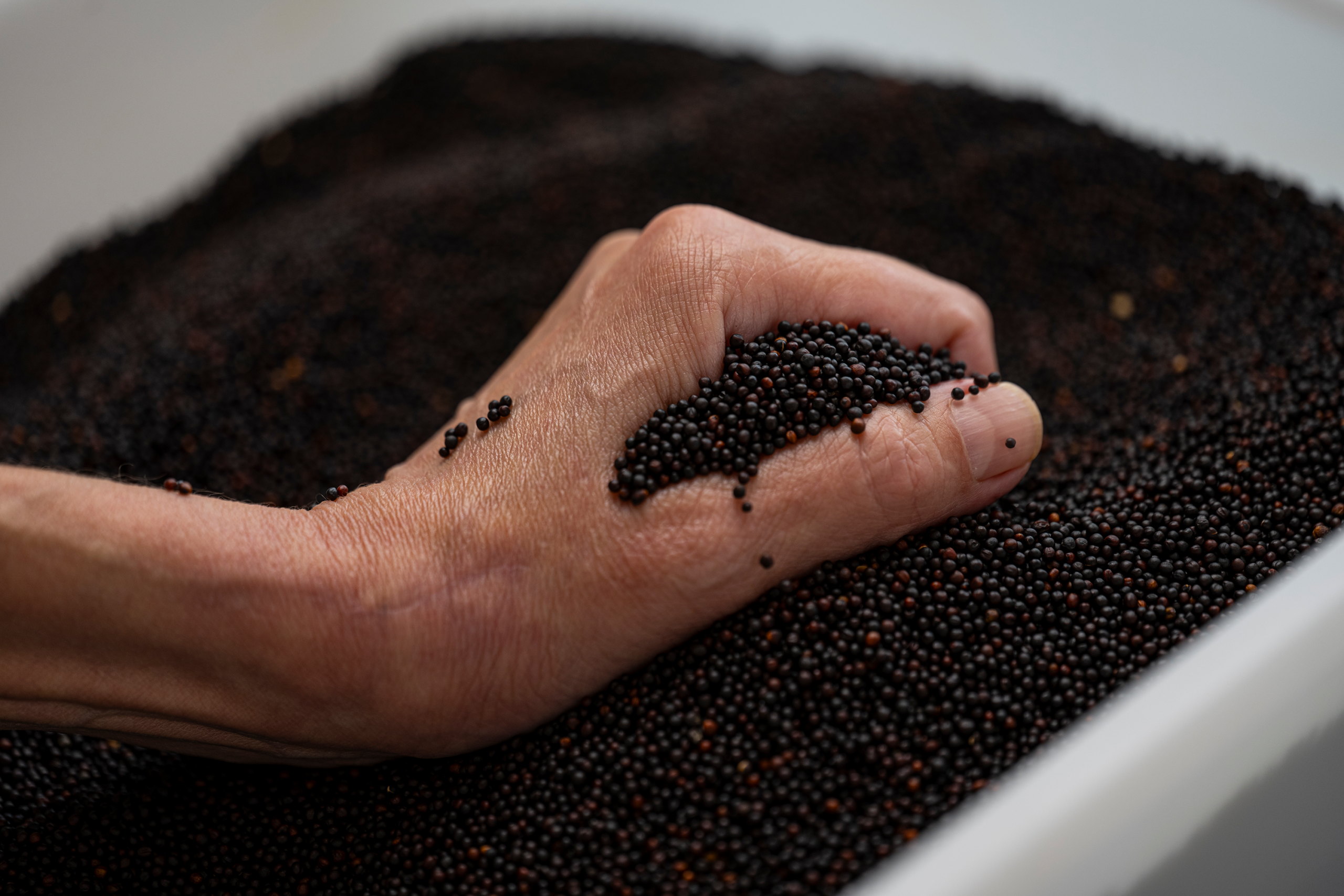 TSRR_098_NRC0745 Kopie