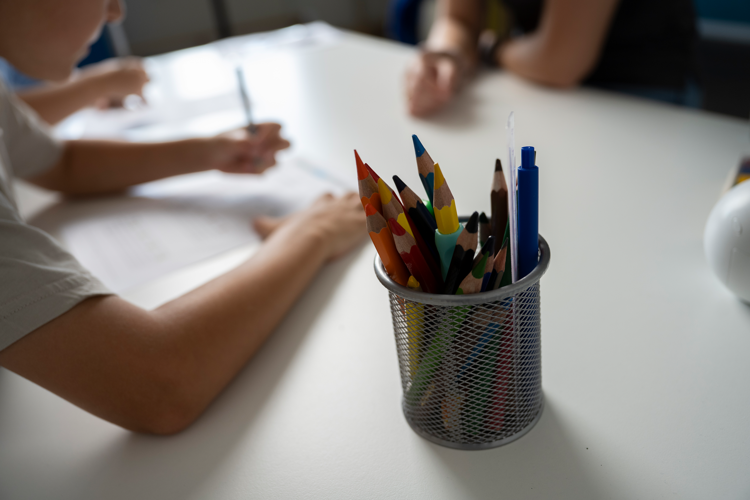 TSRR_254_NRC2831 Kopie